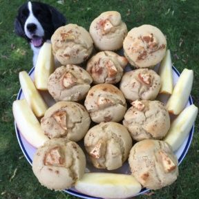 Gluten-free Apple Cinnamon Yogurt Muffins